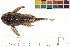  ( - OL-0347)  @13 [ ] CreativeCommons - Attribution (2010) Unspecified Centre for Biodiversity Genomics