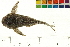  ( - OL-0349)  @13 [ ] CreativeCommons - Attribution (2010) Unspecified Centre for Biodiversity Genomics