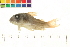  ( - OL-0118)  @11 [ ] CreativeCommons - Attribution (2009) Unspecified Centre for Biodiversity Genomics