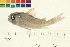  ( - OL-0120)  @13 [ ] CreativeCommons - Attribution (2009) Unspecified Centre for Biodiversity Genomics