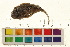  ( - OL-0346)  @11 [ ] CreativeCommons - Attribution (2009) Unspecified Centre for Biodiversity Genomics