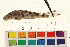  ( - OL-0627)  @11 [ ] CreativeCommons - Attribution (2009) Unspecified Centre for Biodiversity Genomics