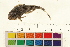  ( - OL-0626)  @11 [ ] CreativeCommons - Attribution (2009) Unspecified Centre for Biodiversity Genomics
