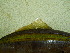  ( - ADC10_182.1 #10)  @11 [ ] CreativeCommons - Attribution (2011) Allan D. Connell Centre for Biodiversity Genomics