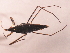  ( - CHHEM-002)  @13 [ ] CreativeCommons - Attribution (2009) Unspecified Centre for Biodiversity Genomics