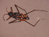  ( - CHHEM-003)  @13 [ ] CreativeCommons - Attribution (2009) Unspecified Centre for Biodiversity Genomics