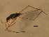  ( - CHHEM-027)  @13 [ ] CreativeCommons - Attribution (2009) Unspecified Centre for Biodiversity Genomics