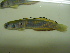  ( - ADC12_240.89B #2)  @12 [ ] CreativeCommons - Attribution (2012) Allan D Connell Allan D Connell