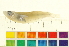  ( - OL-0702)  @12 [ ] CreativeCommons - Attribution (2012) CBG Photography Group Centre for Biodiversity Genomics