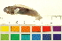  ( - OL-0674)  @12 [ ] CreativeCommons - Attribution (2012) CBG Photography Group Centre for Biodiversity Genomics