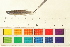  (Nothobranchiidae - OL-0110)  @14 [ ] CreativeCommons - Attribution (2009) Unspecified Centre for Biodiversity Genomics