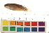  ( - OL-0490)  @12 [ ] CreativeCommons - Attribution (2009) Unspecified Centre for Biodiversity Genomics
