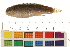 ( - OL-0493)  @12 [ ] CreativeCommons - Attribution (2009) Unspecified Centre for Biodiversity Genomics