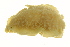  ( - CCDB-15498-E02)  @11 [ ] CreativeCommons - Attribution (2012) CBG Photography Group Centre for Biodiversity Genomics
