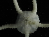  ( - JR19002_330.1)  @11 [ ] CreativeCommons - Attribution Share-Alike (2023) Chester Sands British Antarctic Survey