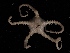  ( - JR262_497.4.04)  @11 [ ] CreativeCommons - Attribution Share-Alike (2021) Unspecified British Antarctic Survey
