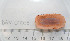  ( - BAM00038)  @13 [ ] CreativeCommons - Attribution (2010) Unspecified Centre for Biodiversity Genomics
