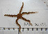  ( - BAM00039)  @13 [ ] CreativeCommons - Attribution (2010) Unspecified Centre for Biodiversity Genomics