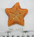  ( - BAM00054)  @14 [ ] CreativeCommons - Attribution (2010) Unspecified Centre for Biodiversity Genomics