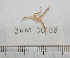  ( - BAM00108)  @12 [ ] CreativeCommons - Attribution (2010) Unspecified Centre for Biodiversity Genomics