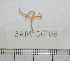  ( - BAM00108)  @12 [ ] CreativeCommons - Attribution (2010) Unspecified Centre for Biodiversity Genomics