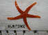  ( - HUNT0082)  @14 [ ] CreativeCommons - Attribution (2012) Unspecified Centre for Biodiversity Genomics