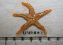  ( - HUNT0083)  @14 [ ] CreativeCommons - Attribution (2012) Unspecified Centre for Biodiversity Genomics