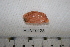  ( - HUNT0125)  @12 [ ] CreativeCommons - Attribution (2012) Unspecified Centre for Biodiversity Genomics