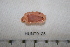  ( - HUNT0125)  @12 [ ] CreativeCommons - Attribution (2012) Unspecified Centre for Biodiversity Genomics