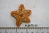  ( - HUNT0133)  @13 [ ] CreativeCommons - Attribution (2012) Unspecified Centre for Biodiversity Genomics