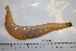  ( - HUNT0144)  @14 [ ] CreativeCommons - Attribution (2012) Unspecified Centre for Biodiversity Genomics