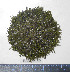  ( - BAM00139)  @12 [ ] CreativeCommons - Attribution (2010) Unspecified Centre for Biodiversity Genomics