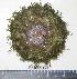  ( - BAM00139)  @12 [ ] CreativeCommons - Attribution (2010) Unspecified Centre for Biodiversity Genomics