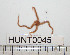  ( - HUNT0045)  @13 [ ] CreativeCommons - Attribution (2010) Unspecified Centre for Biodiversity Genomics