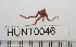  ( - HUNT0046)  @13 [ ] CreativeCommons - Attribution (2010) Unspecified Centre for Biodiversity Genomics