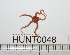  ( - HUNT0048)  @13 [ ] CreativeCommons - Attribution (2010) Unspecified Centre for Biodiversity Genomics