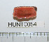  ( - HUNT0054)  @14 [ ] CreativeCommons - Attribution (2010) Unspecified Centre for Biodiversity Genomics