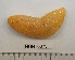  ( - HUNT0073)  @13 [ ] CreativeCommons - Attribution (2010) Unspecified Centre for Biodiversity Genomics