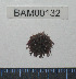  ( - BAM00132)  @12 [ ] CreativeCommons - Attribution (2010) Unspecified Centre for Biodiversity Genomics