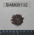  ( - BAM00132)  @12 [ ] CreativeCommons - Attribution (2010) Unspecified Centre for Biodiversity Genomics