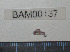  ( - BAM00137)  @12 [ ] CreativeCommons - Attribution (2010) Unspecified Centre for Biodiversity Genomics