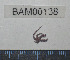  ( - BAM00138)  @12 [ ] CreativeCommons - Attribution (2010) Unspecified Centre for Biodiversity Genomics