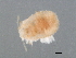  ( - P1074-2)  @12 [ ] CreativeCommons - Attribution (2009) Unspecified Centre for Biodiversity Genomics