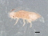  ( - P1074-3)  @11 [ ] CreativeCommons - Attribution (2009) Unspecified Centre for Biodiversity Genomics