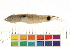  ( - OL-0152)  @12 [ ] CreativeCommons - Attribution (2009) Unspecified Centre for Biodiversity Genomics
