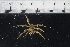  ( - JD_PS77_280-2.1)  @12 [ ] CreativeCommons - Attribution Non-Commercial Share-Alike (2012) Chester Sands British Antarctic Survey