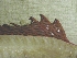  ( - Smith 166.57 #1)  @12 [ ] CreativeCommons - Attribution Non-Commercial Share-Alike (2010) Allan D. Connell Research Collection of Allan Connell
