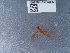  ( - NHMUK010635091)  @11 [ ] Unspecified (default): All Rights Reserved  Unspecified Unspecified