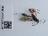  ( - NHMUK010636369)  @11 [ ] Unspecified (default): All Rights Reserved  Unspecified Unspecified