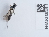  ( - NHMUK010636371)  @11 [ ] Unspecified (default): All Rights Reserved  Unspecified Unspecified
